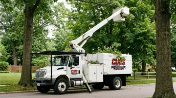 Forestry & Tree Trimming