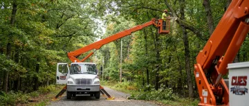 Forestry and Tree Service Industry