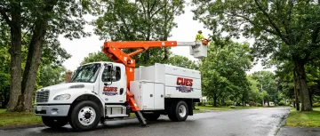 Tree Service & Arborist