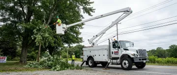 Tree Service & Arborist