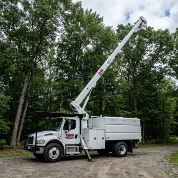 Forestry & Tree Service