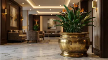 Commercial & Hospitality