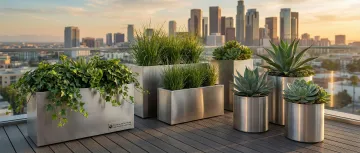 Rooftop & Urban Gardens