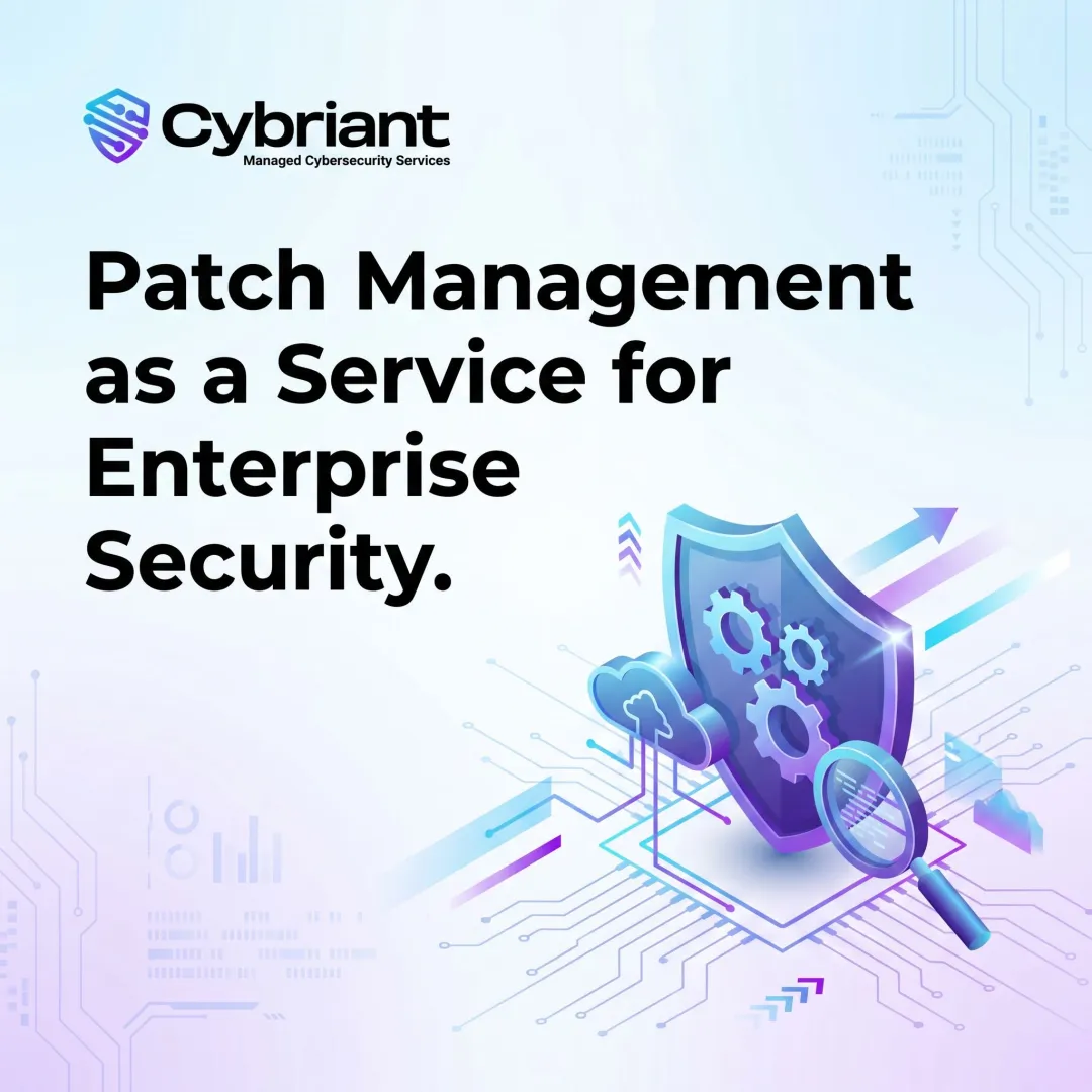 Patch Management as a Service for Enterprise Security