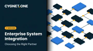 Enterprise System Integration: Choosing the Right Partner