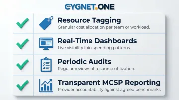 Four internal cloud governance best practices for cost control and performance visibility