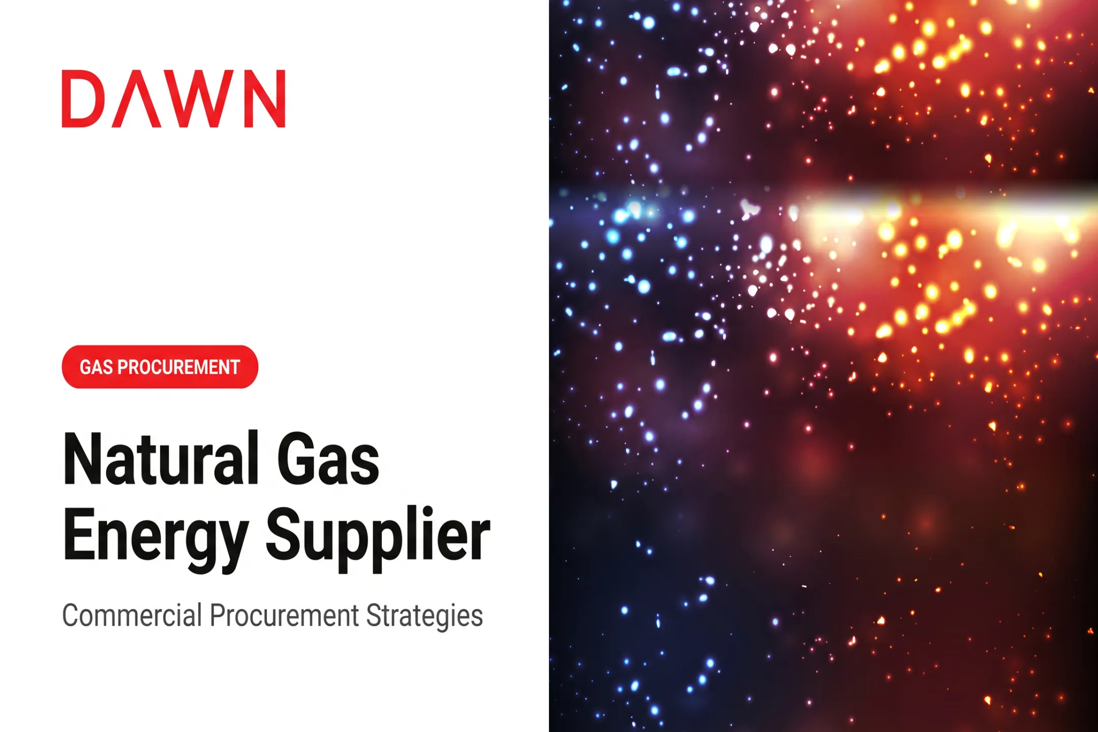 Natural Gas Energy Supplier