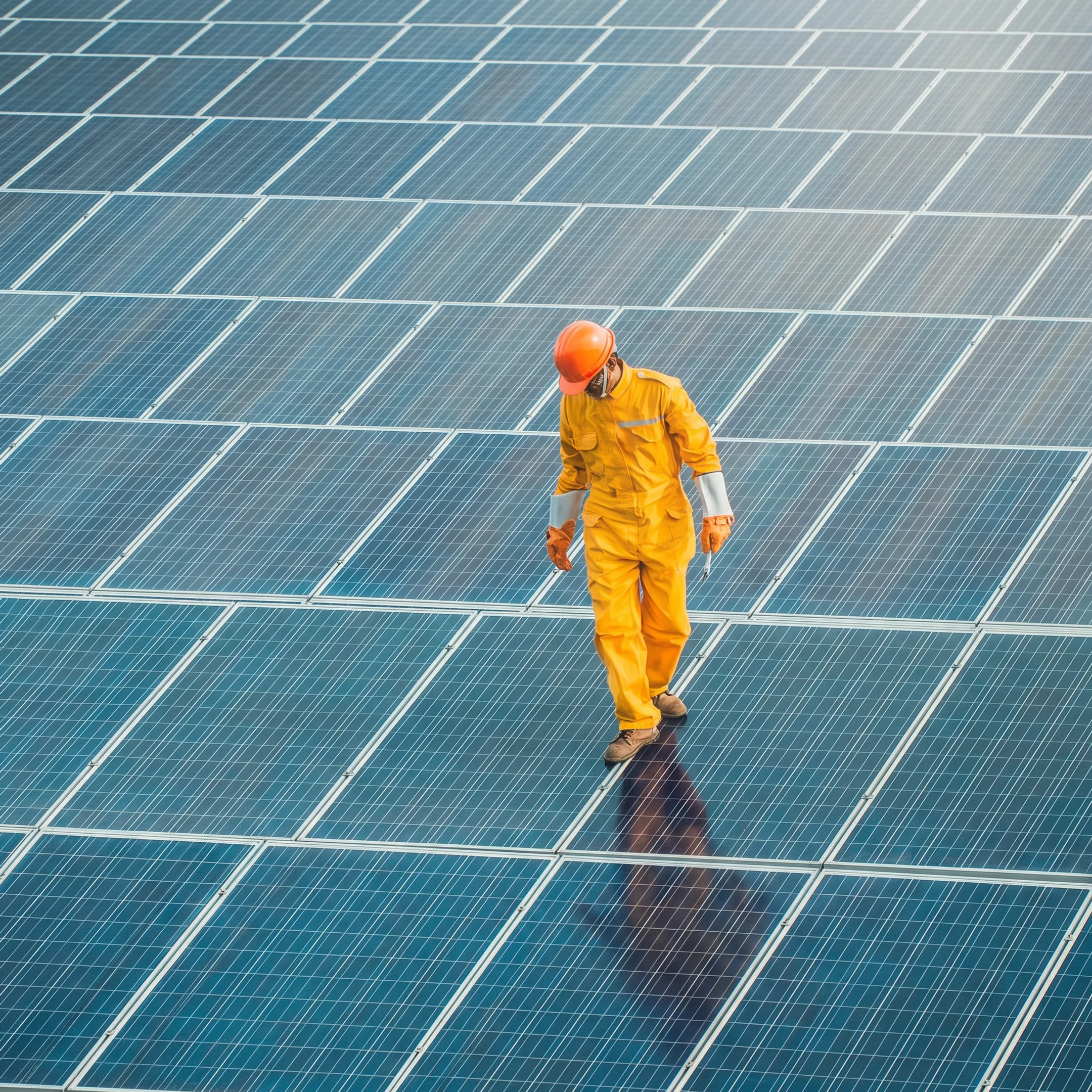 Renewable Energy Markets