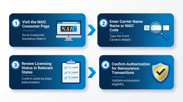Four-step NAIC Consumer Insurance Search tool carrier verification process flow
