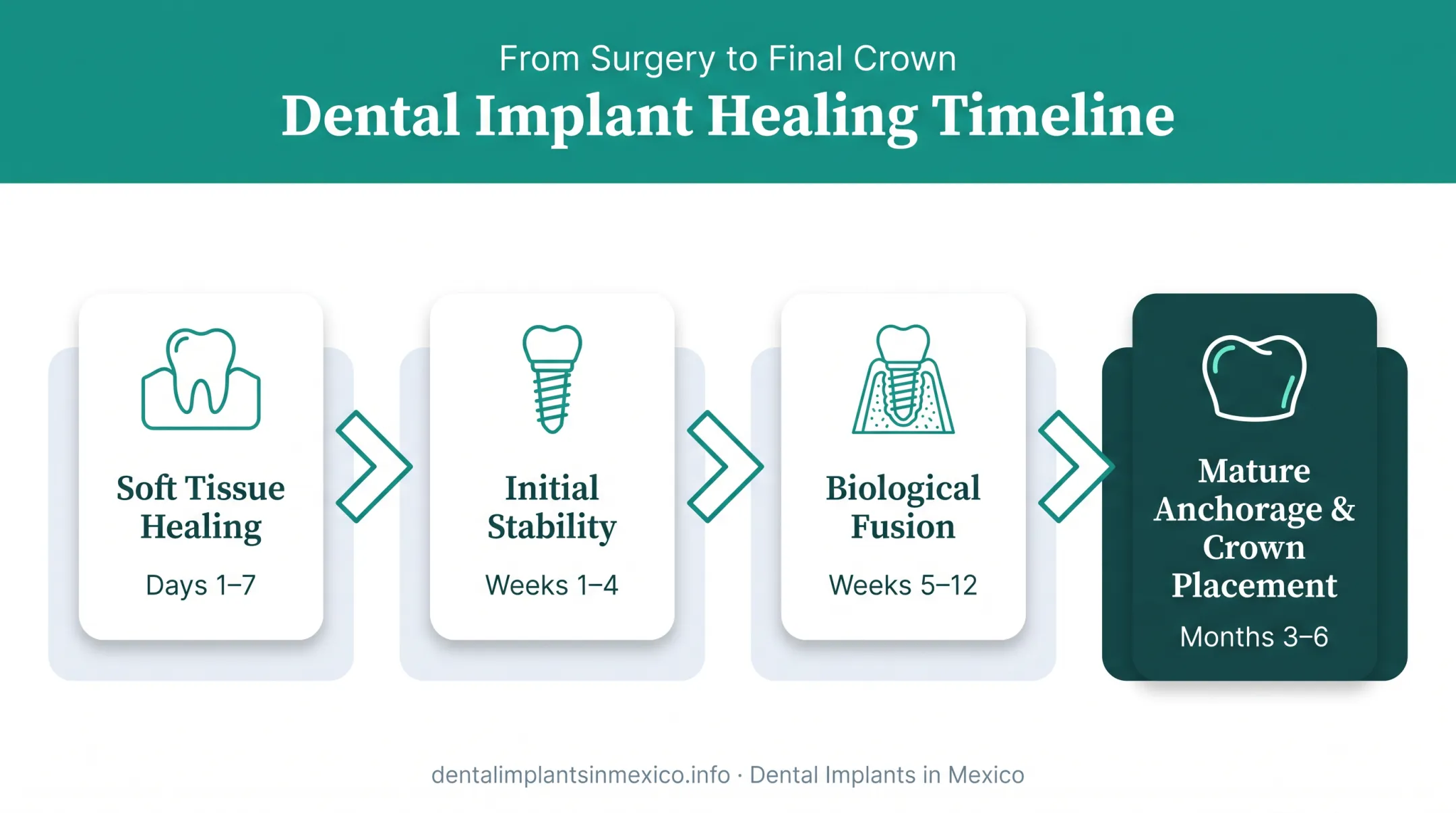 Dental implant healing timeline from surgery to crown placement