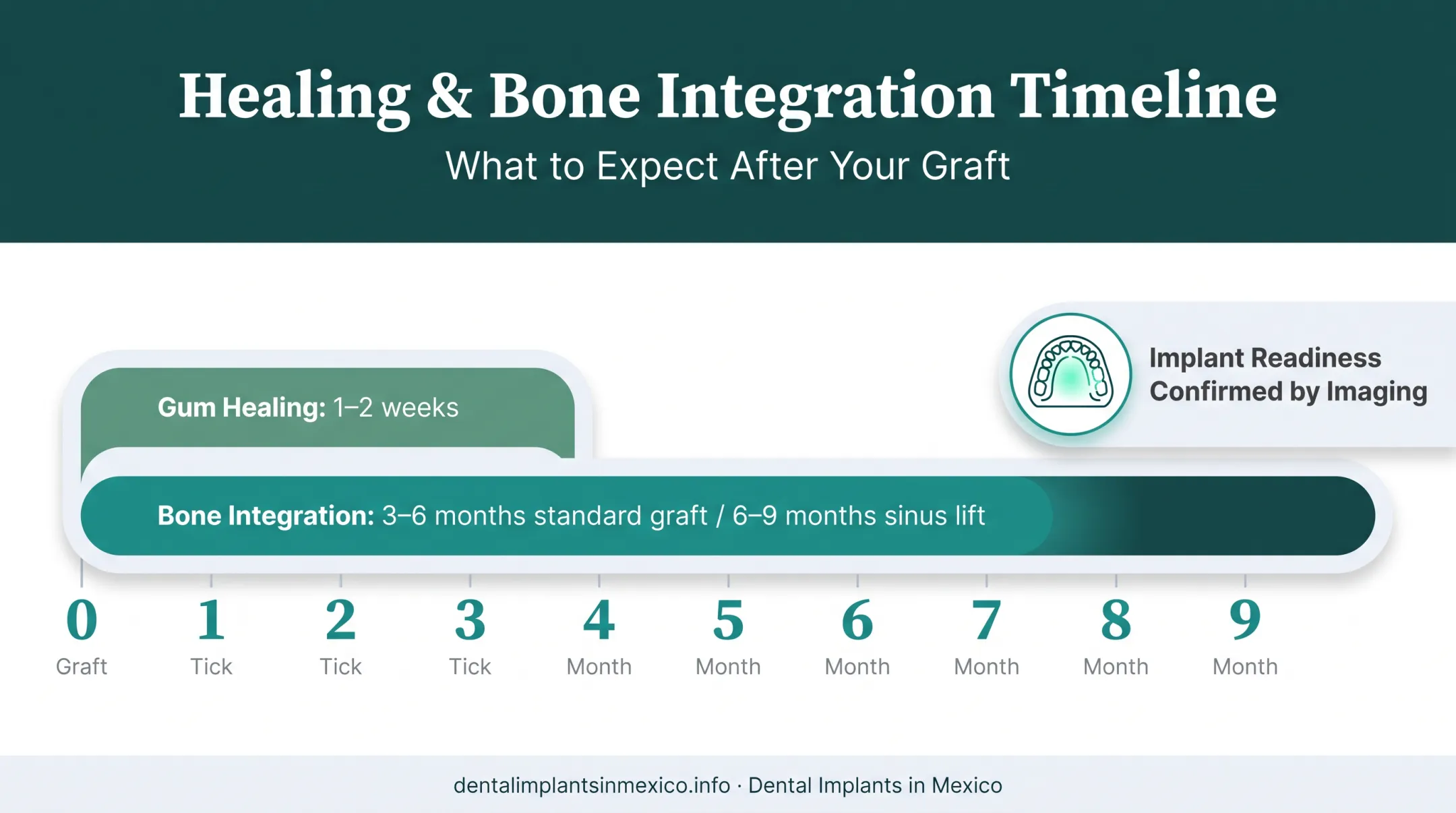 Bone graft healing timeline from gum recovery to full integration