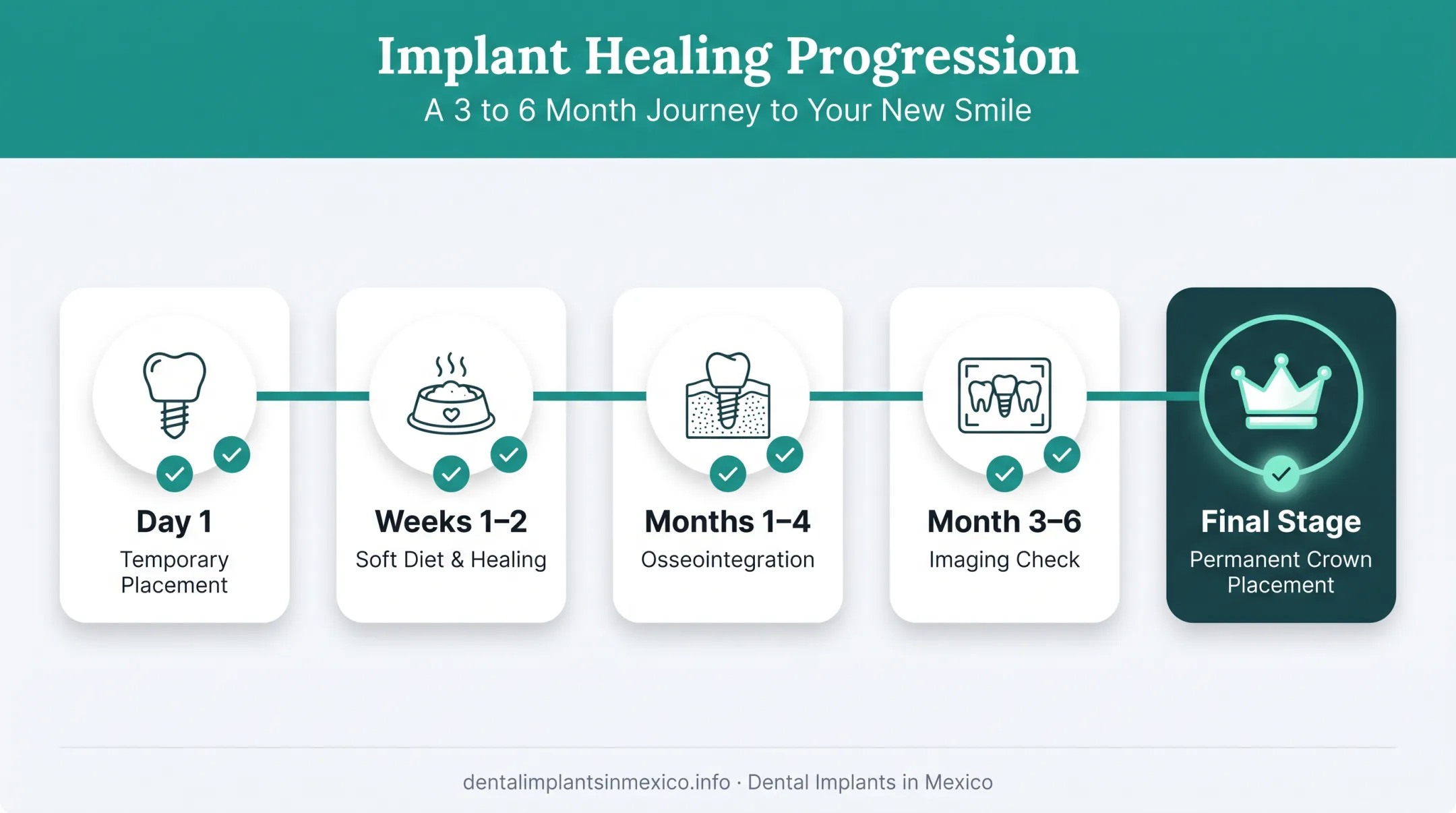 Timeline of implant healing stages from surgery to permanent crown placement