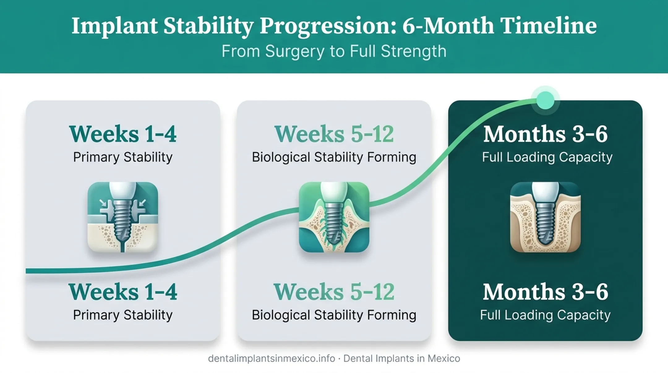 Immediate load implant osseointegration timeline from surgery to full healing