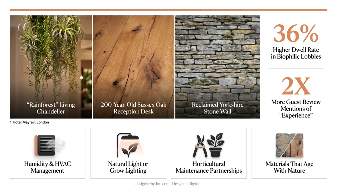 Biophilic hotel lobby design benefits showing 36 percent higher dwell rate statistics