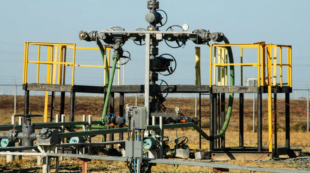 Oil and gas wellhead assembly with high-pressure sealing flanges and valve bonnets