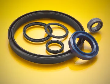 Pneumatic Seals
