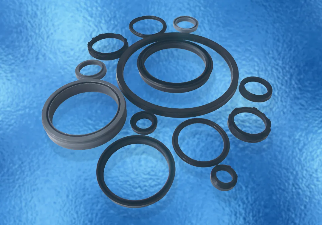 Pneumatic Seals