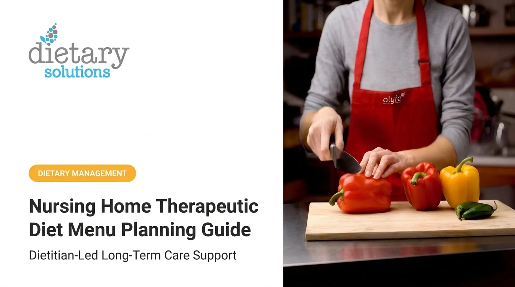 Nursing Home Therapeutic Diet Menu Planning Guide
