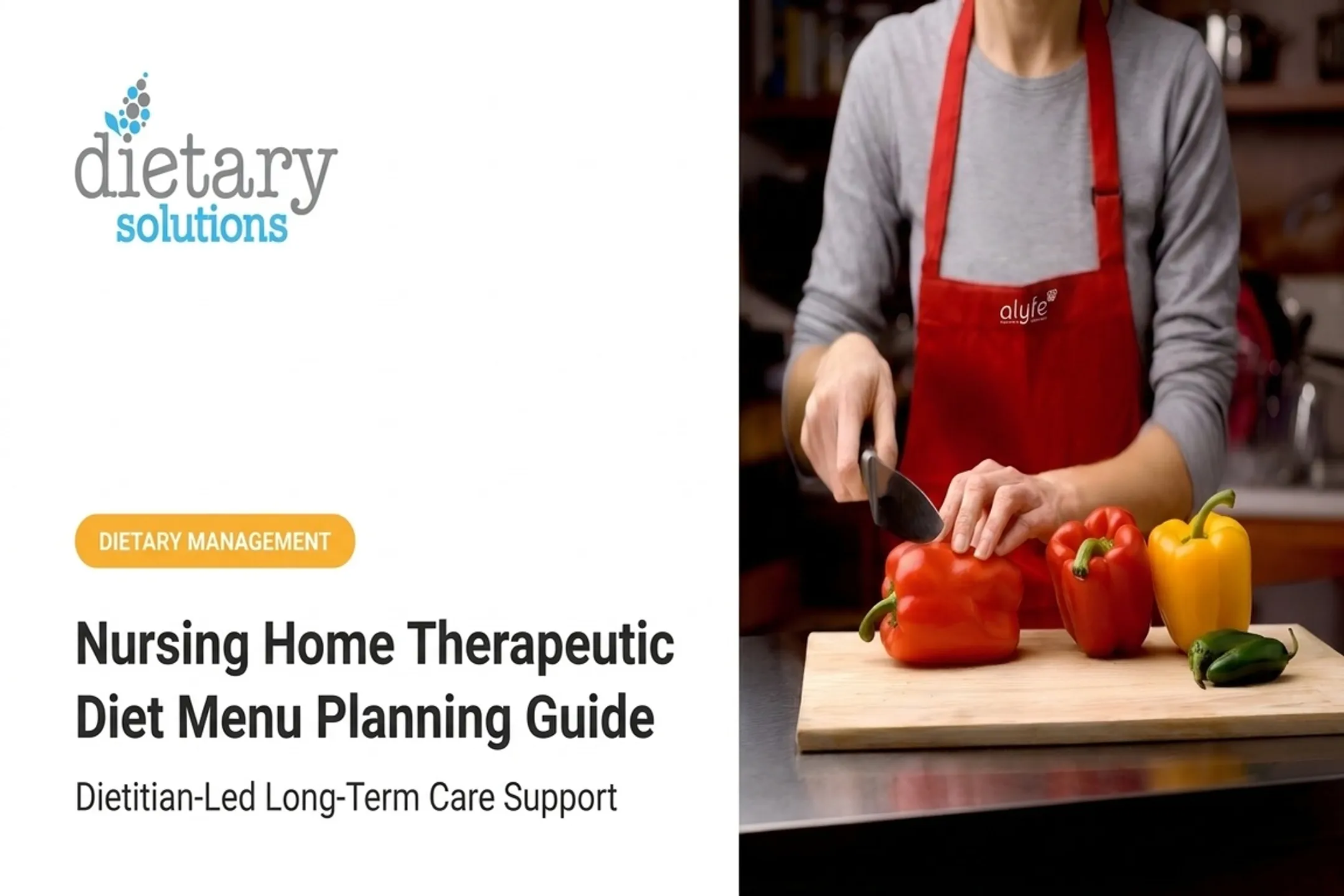 Nursing Home Therapeutic Diet Menu Planning Guide