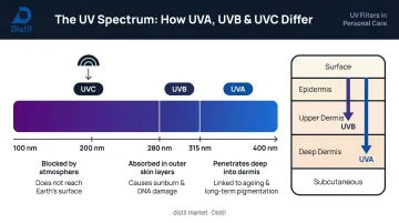 UVA UVB UVC electromagnetic spectrum wavelength ranges and skin penetration depth diagram