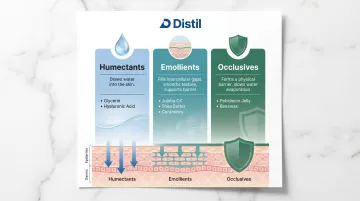 Three moisturizer types humectants occlusives emollients comparison infographic