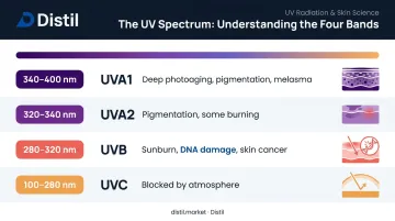 UV spectrum bands UVA1 UVA2 UVB wavelengths and skin effects comparison chart