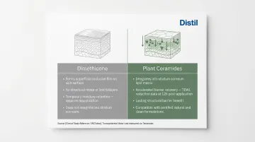 Plant ceramides versus dimethicone skin barrier function comparison with TEWL data points