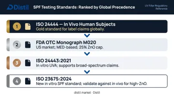 ZnO sunscreen SPF testing standards hierarchy from in vivo gold standard to in vitro methods