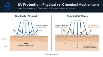 Physical zinc oxide UV barrier versus chemical filter absorption mechanism comparison