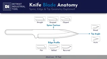 Blade anatomy diagram showing spine edge and tip profile elements