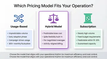 Decision framework for choosing usage-based subscription or hybrid AI call pricing model