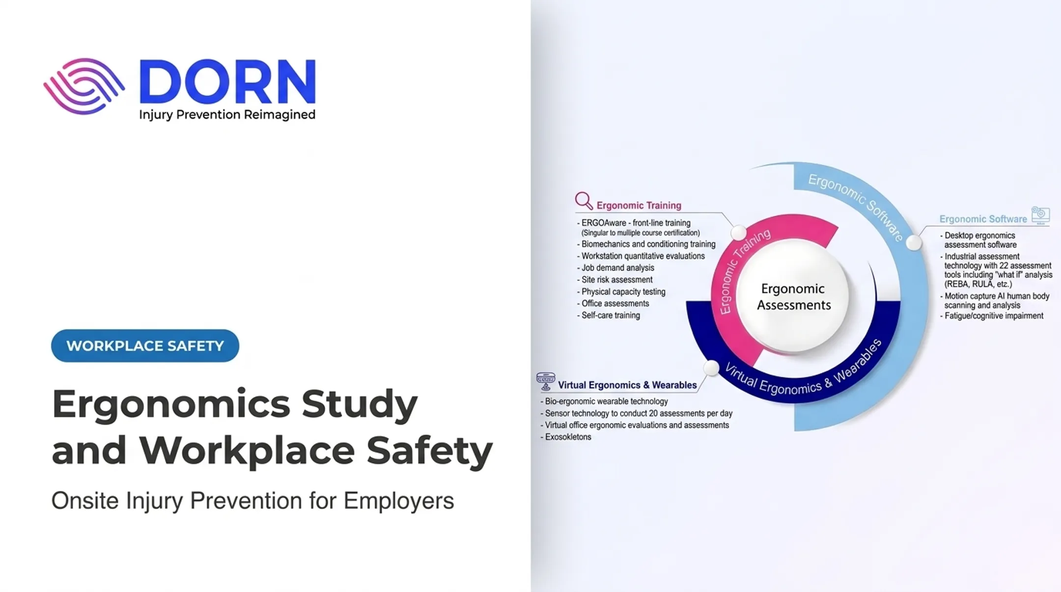 Ergonomics Study and Workplace Safety
