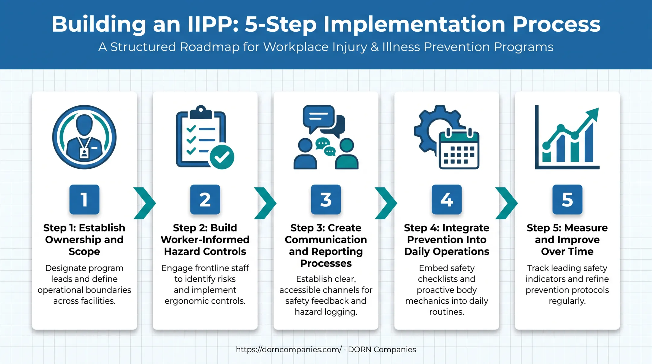 5-step IIPP implementation roadmap from ownership to improvement