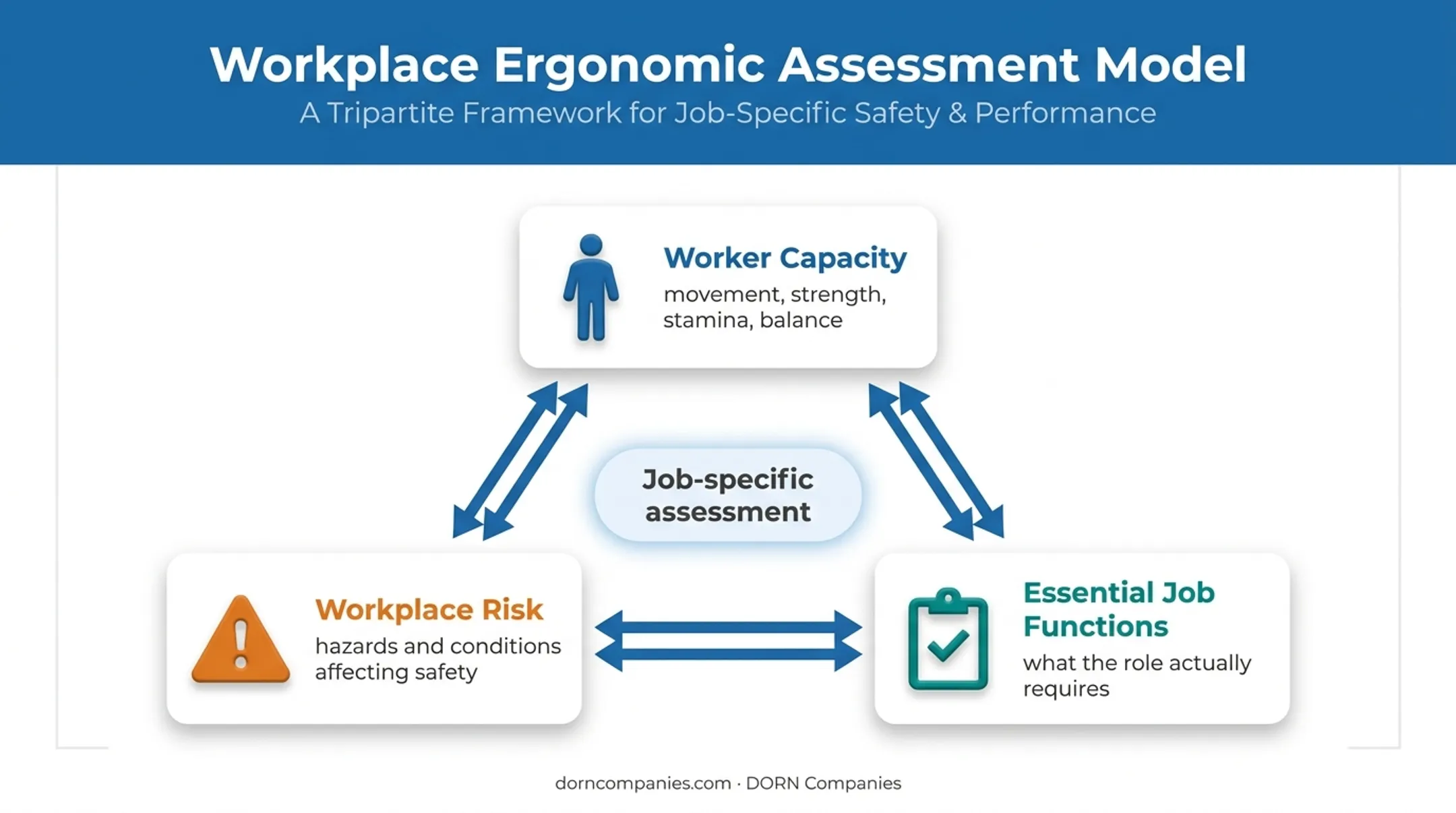 Three-part return-to-work assessment framework linking capacity risk and duties