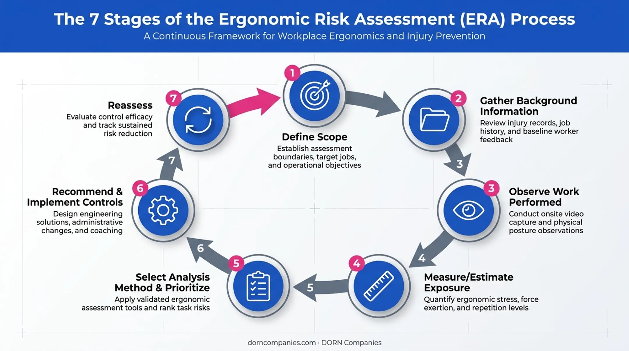 Seven-stage ergonomic risk assessment process from scoping to reassessment