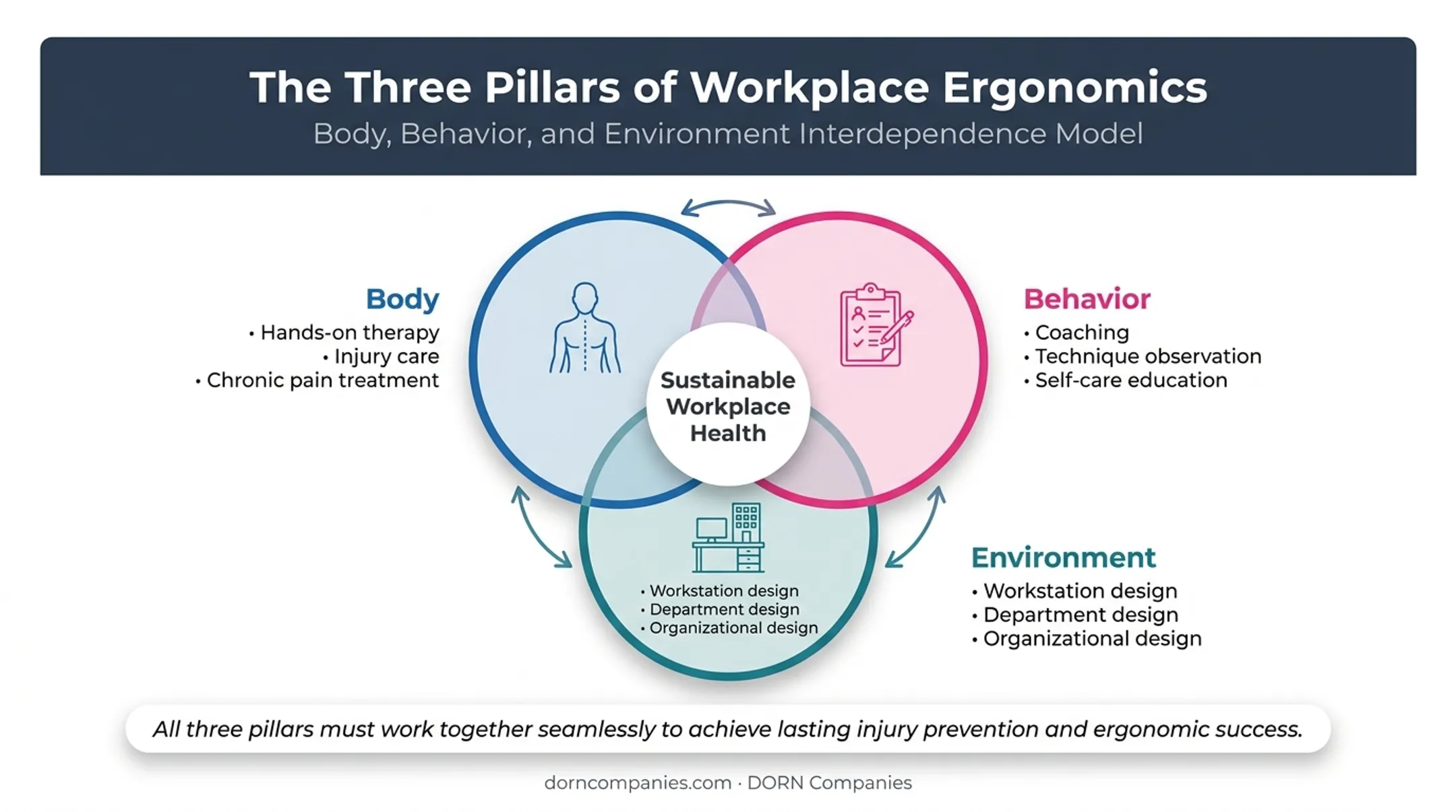 Body Behavior Environment ergonomics model three interconnected pillars diagram