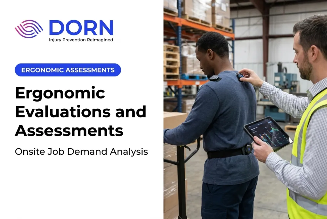 Ergonomic Evaluations and Assessments