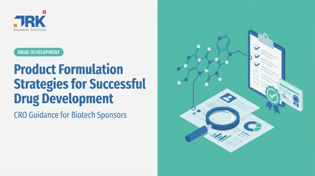 Product Formulation Strategies for Successful Drug Development