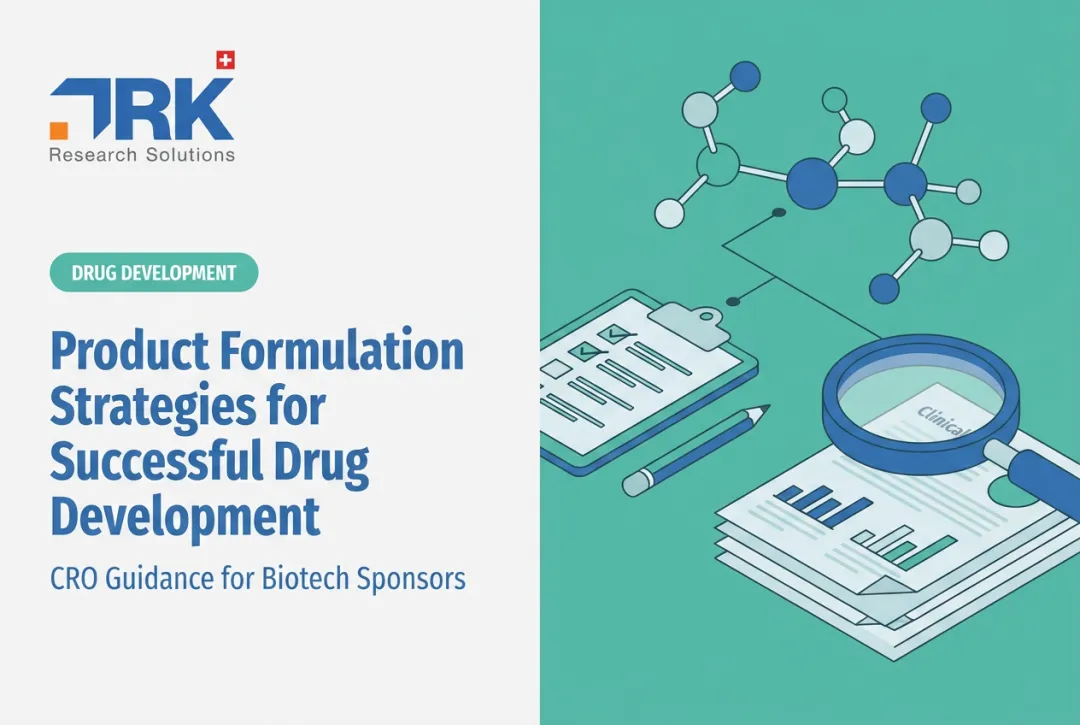 Product Formulation Strategies for Successful Drug Development