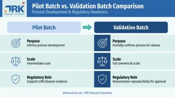 Pilot batch versus validation batch key differences comparison chart