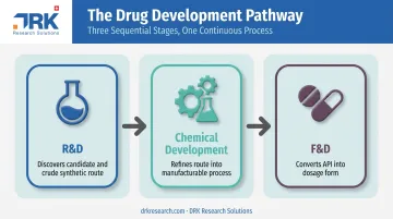 R&D versus chemical development versus F&D drug development stages comparison