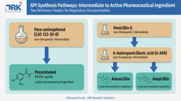 Para-aminophenol and Penicillin G intermediate to API synthesis pathway diagram