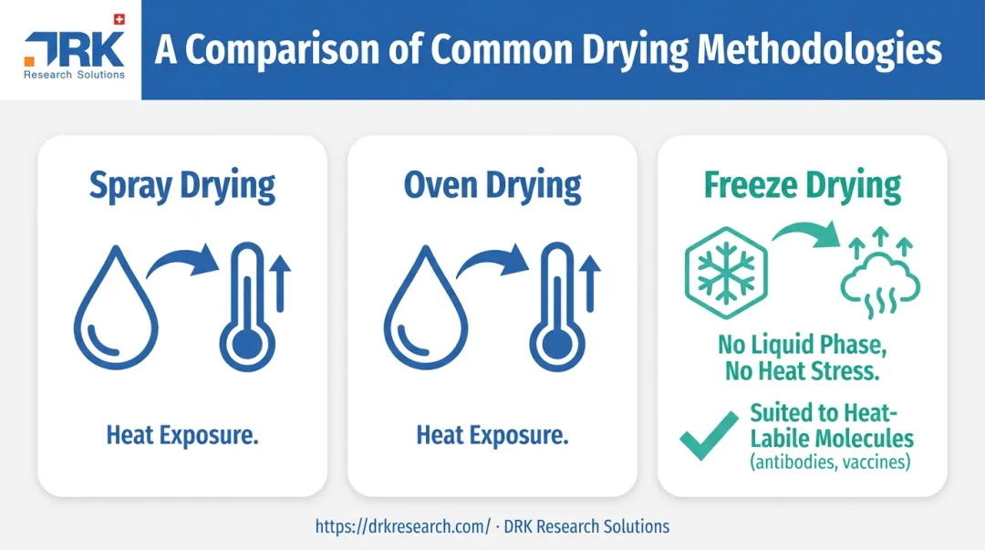 Freeze drying versus spray drying and oven drying process comparison