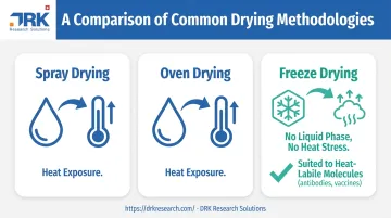 Freeze drying versus spray drying and oven drying process comparison