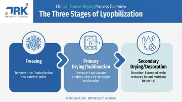Three-stage freeze drying process from freezing to secondary drying