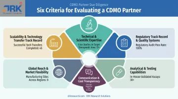 Six-factor framework for evaluating CDMO process development partners