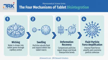 Four mechanisms driving tablet disintegration in IR drug formulations