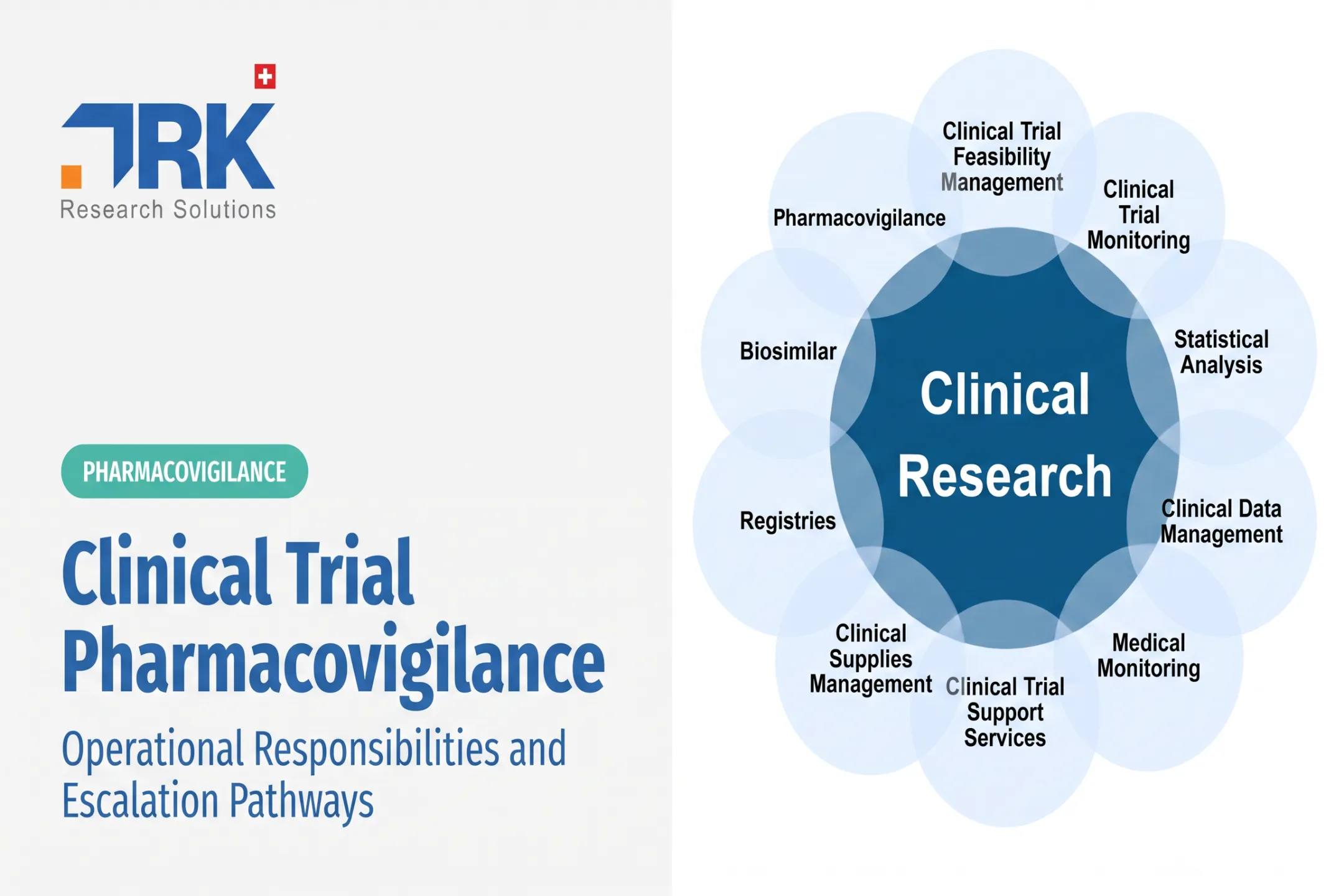 Clinical Trial Pharmacovigilance: Operational Responsibilities and Escalation Pathways