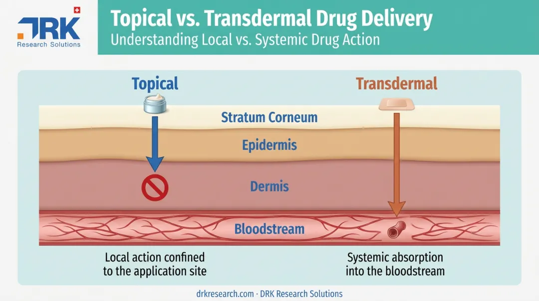 Topical versus transdermal drug delivery skin penetration pathway diagram