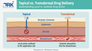 Topical versus transdermal drug delivery skin penetration pathway diagram